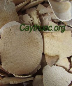 Hướng dẫn cách dùng rễ mật nhân sắc uống