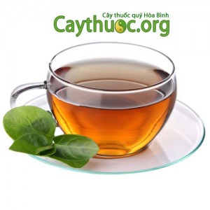 Cách dùng dây thìa canh