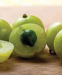 Quả me rừng bà bầu có dùng được không