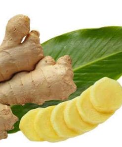 củ gừng tươi, sinh khương