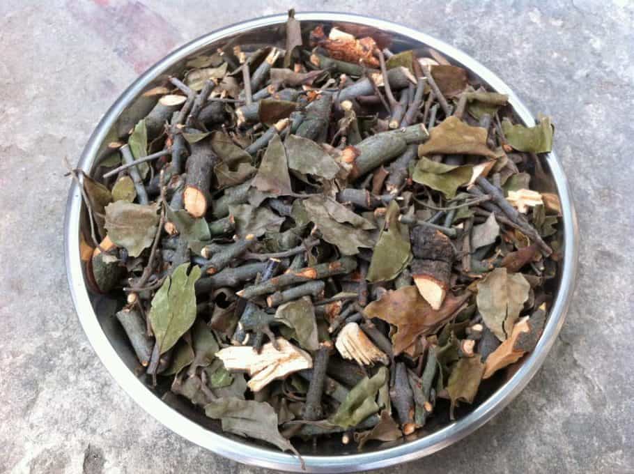 Tầm gửi nghiến