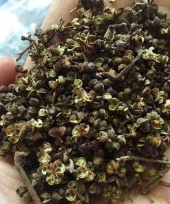 hạt mắc khén cây thuốc tẩy giun