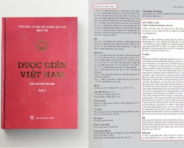 Cây dây thìa canh đã được ghi trong dược điển Việt Nam