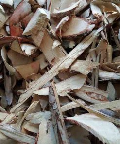 Thân Cây xạ vàng khô Những cây thuốc nam điều trị viêm gan B tốt nhất