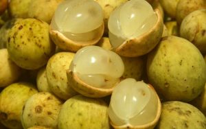 quả bòn bon (dâu da đất)