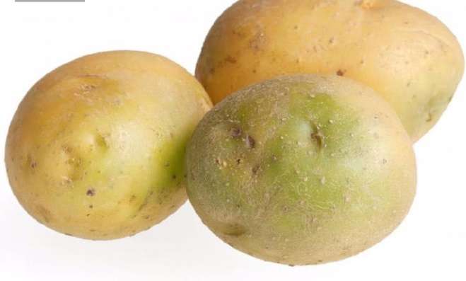 Củ khoai tây xanh