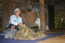 Mế hậu