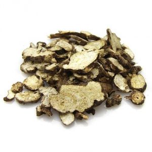 Vị thuốc cây thương truật