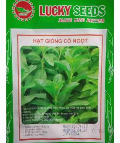 Hạt giống cỏ ngọt bán ở đâu