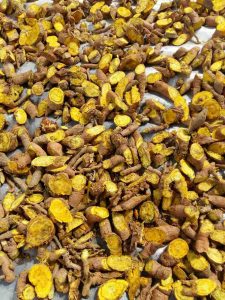 Rễ cây hoàng đằng, vàng đằng