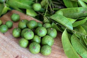 Công dụng của quả sấu