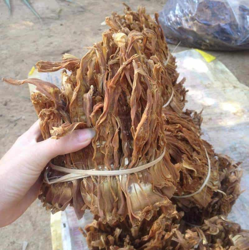 Bó măng 