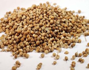 Công dụng của hạt tía tô