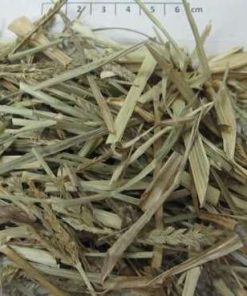 Cỏ mần trầu khô