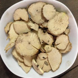 Vị thuốc Mộc thông