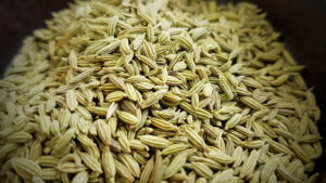 Tiểu hồi hương