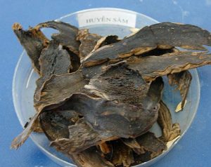 Vị thuốc huyền sâm