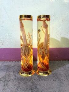 Rượu pín hươu rượu lộc pín