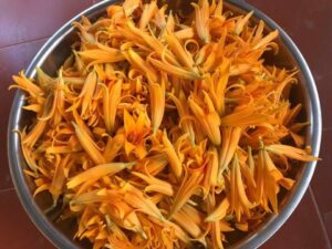 Hoa hiên tươi