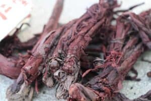 Vị thuốc tử thảo