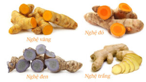 Nghệ vàng, nghệ đen, nghệ đỏ và nghệ trắng