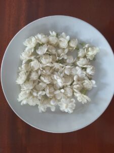 Hoa nhài