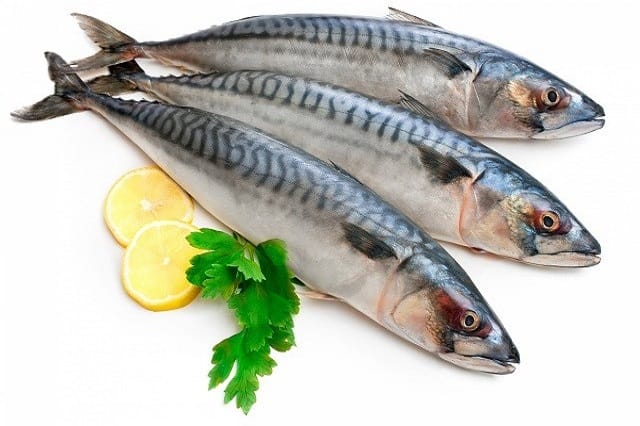 Cá thu - nguồn bổ sung omega-3 tự nhiên