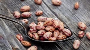 Đậu cúc (đậu Pinto)