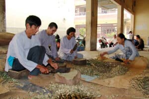 Hốt thuốc Nam
