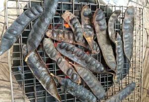 Nướng quả bồ kết