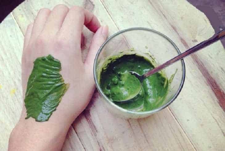 Lá lốt giã nát (ảnh minh họa)