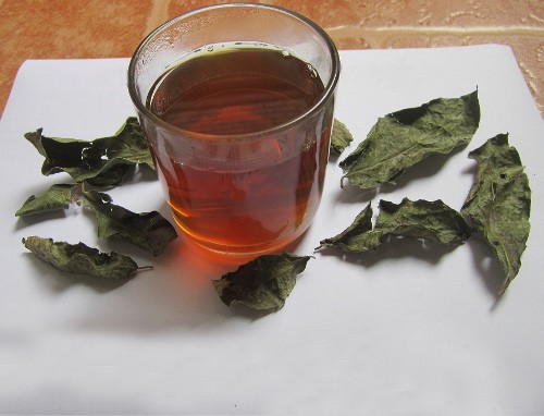 trà xạ đen Mùa đông lạnh nên uống trà gì để giảm béo và phòng bệnh