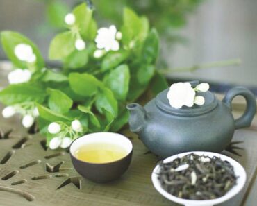 Công dụng của trà hoa nhài – sống chậm, sống khỏe, sống yêu đời