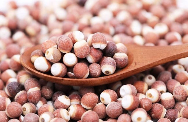 khiếm thực Những cây thuốc nam điều trị di mộng tinh từ dân gian