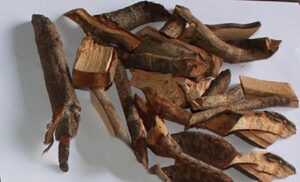 nước rễ cây giúp trường thọ ở Lũng Vân