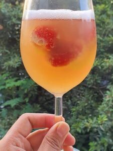 cách làm trà kombucha F2