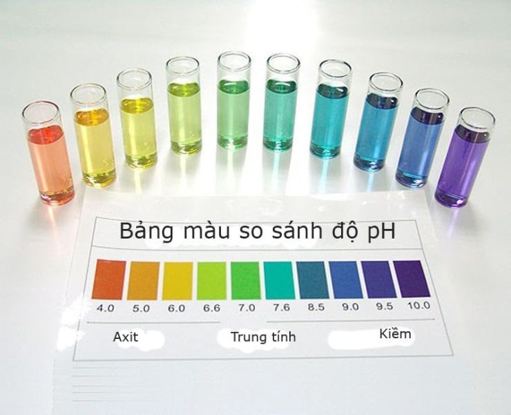 Giấy quỳ tím thử độ PH và độ Axit có trong nguồn nước từ máy RO