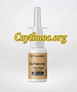 Thuốc nước cây cỏ hôi tươi trị viêm xoang