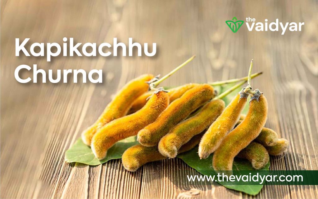 Hình ảnh cây đậu nhung Kapikacchu churna