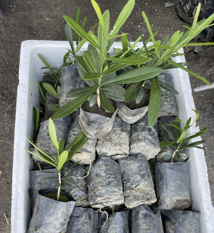 att.MdwdfCREK9mCTMfL8NBVCdgkEt4p1gFaGKcOamWWTvg