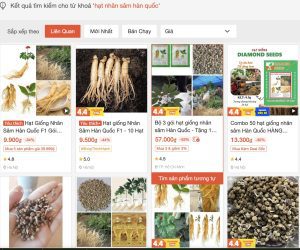 Hạt nhân sâm bán trên shopee